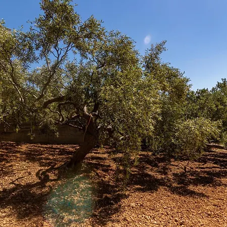 شقة With Parking Space Sveta Nedilja, Hvar - 4049 سفيتا نيدلجا